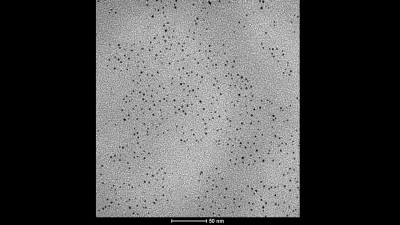 Transmission Electron Microscopy Micrograph of Palladium Nanoparticles Embedded in Polyvinylpyrrolidone