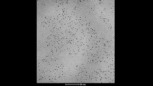 Transmission Electron Microscopy Micrograph of Palladium Nanoparticles Embedded in Polyvinylpyrrolidone