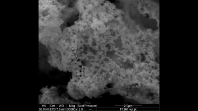 Scanning Electron Microscopy Micrograph of Platinum on Carbon Substrate