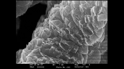 Scanning Electron Microscopy Micrigraph of Expanded Graphite