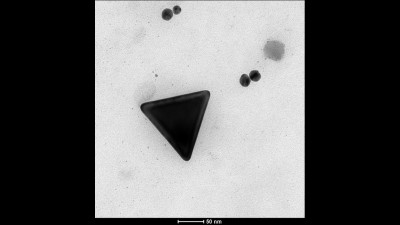 Transmission Electron Microscopy (TEM) Micrograph of Gold Nanoparticles