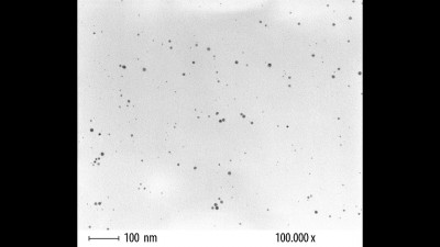 Transmission Electron Microscopy (TEM) Micrograph of Au Nanoparticles