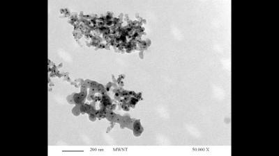 Transmission Electron Microscopy (TEM) Micrograph of MW-CNT bundles