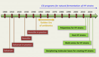 Antibiotic Era Timeline Focused on Classical Strain Improvement