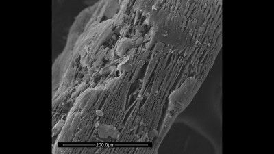 Scanning electron microscopy (SEM) micrograph of graphite bisulfate