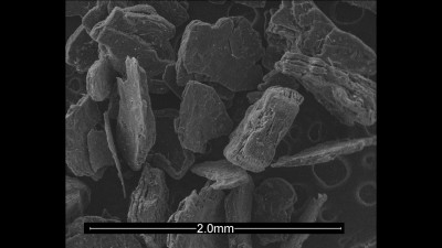 Scanning Electron Microscopy Micrograph of Graphite Bisulfate