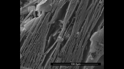 Scanning Electron Microscopy (SEM) Micrograph of Graphite Bisulfate