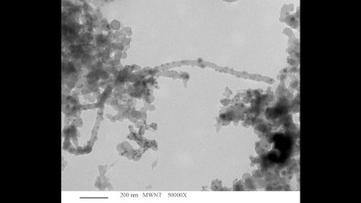 Transmission Electron Microscopy (TEM) of Multi-Walled Carbon Nanotubes (MW-CNTs)