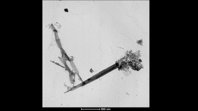 Transmission Electron Microscopy (TEM) Micrograph of Carbon Nanoscrolls