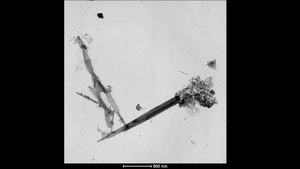 Transmission Electron Microscopy (TEM) Micrograph of Carbon Nanoscrolls