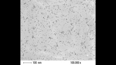 Transmission Electron Microscopy (TEM) Micrograph of Thiol-Derivatized Gold Nanoparticles