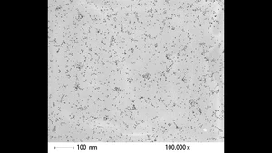 Transmission Electron Microscopy (TEM) Micrograph of Thiol-Derivatized Gold Nanoparticles