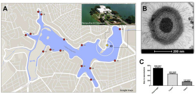 Niemeyer Virus Collection Site, Morphometric Analysis, and Electron Microscopy