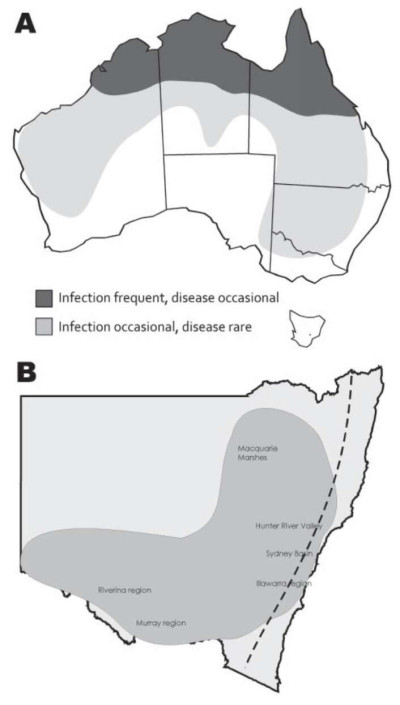 2011 Equine Kunjin Virus Outbreak