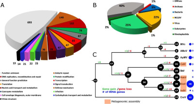 Bodo Saltans Virus Genome Content