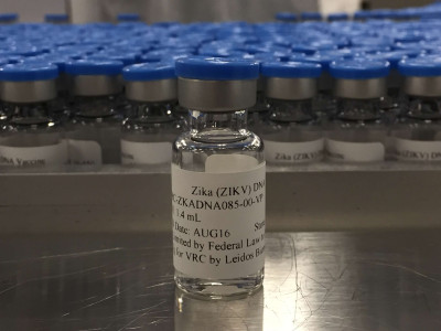 Vial of NIAID Zika Virus Investigational DNA Vaccine