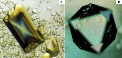 Satellite Tobacco Mosaic Virus Crystal