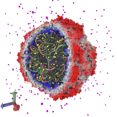 Satellite Tobacco Mosaic Virus Rendering Produced by VMD and Tachyon