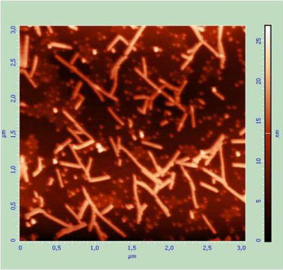 Tobacco Mosaic Virus