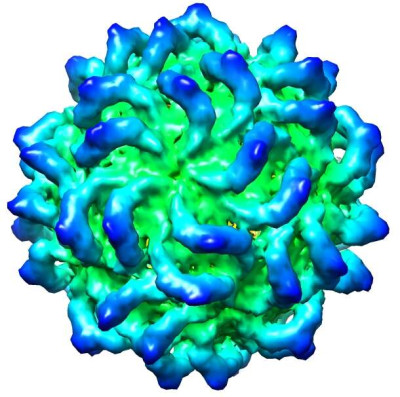 CryoEM Reconstruction of Penicillium stoloniferum Virus S Capsid