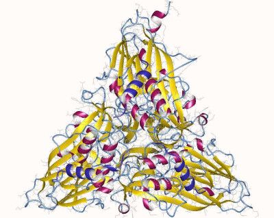 Nodamura Virus Coat Protein Trimer