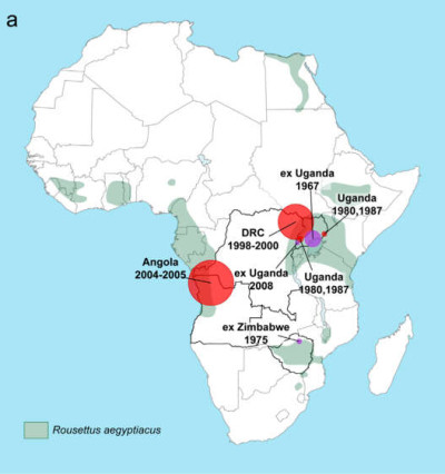 Geographic Distribution of Marburg Virus