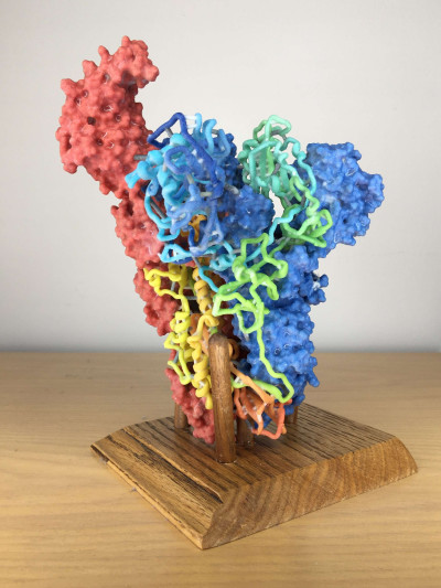 3D Print of MERS-CoV Spike