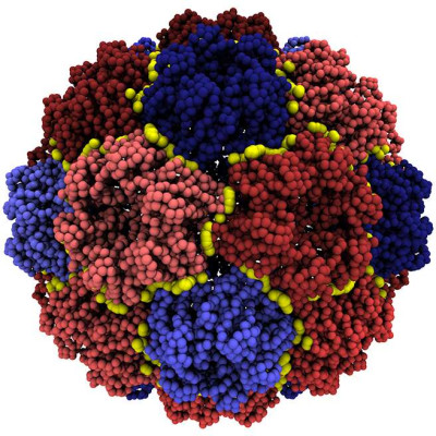 Decomposition into Basic Mechanical Units of the CCMV Capsid