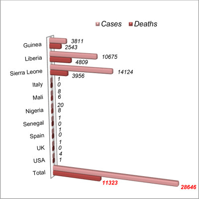 Ebolavirus Disease Reports