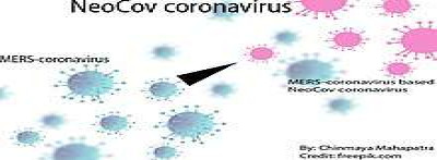 NeoCov Coronavirus