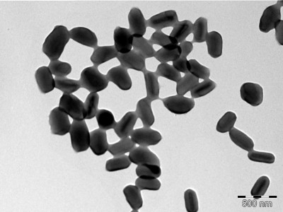 Phthorimaea operculella granulovirus South Africa