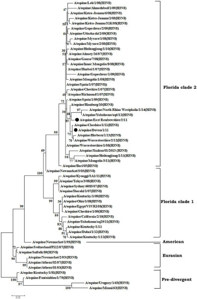 Phylogenetic Analysis of Hemagglutinin Genes Nucleotide Sequences