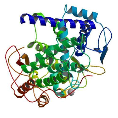 Nucleoprotein Influenza A 3zdp bio r 500