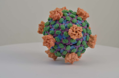 3D Print of Reovirus