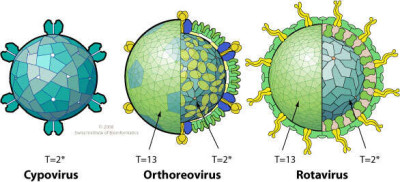 Reoviridae Virions