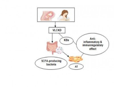 The Effects of  VLCKD  on Reducing Obesity in Infants