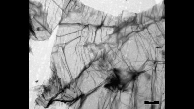 Transmission Electron Microscopy Image of Graphite Oxide