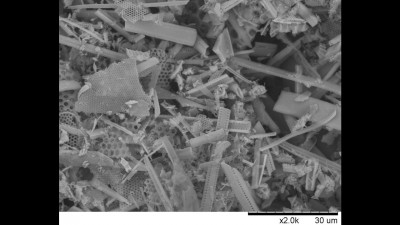 Scanning Electron Microscopy Micrograph of a Diatomaceous Earth Sample