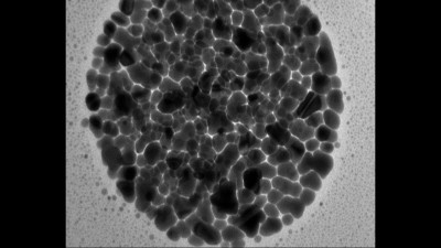 Transmission Electron Microscopy Micrograph Showing the Raspberry Pd-Nanoparticle Microstructure