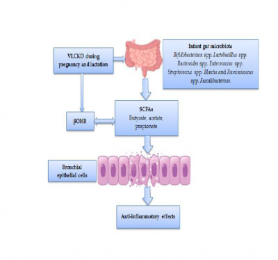 Maternal VLCKD in the Treatment of Asthma in Infants