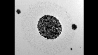 Transmission Electron Microscopy Micrograph of Raspberry Particles of Palladium