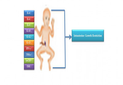 Inflammation in Intrauterine Growth Restriction