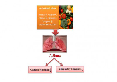 Potential Effects of Antioxidant on Cigarette Smoking-Induced Asthma Biomarkers