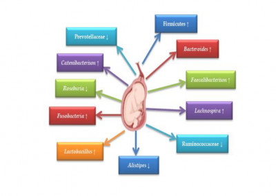 Alterations of Gut Microbiota in Fetal Growth Restriction