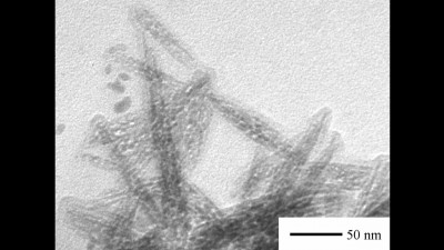 Transmission Electron Microscopy (TEM) Image of Needle-like FeS Nanoparticles