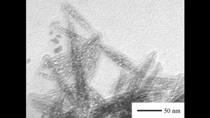 Transmission Electron Microscopy (TEM) Image of Needle-like FeS Nanoparticles