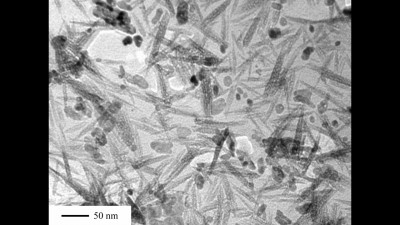 Electron Microscopy (TEM) Micrograph of FeS Acicular Nanoparticles