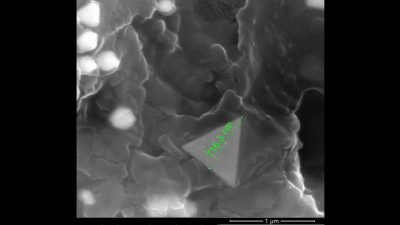 Electron Microscopy Image of Au-Nanocrystals Embedded in Poly(Methyl Methacrylate)