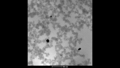 Transmission Electron Microscopy Image of Tellurium Nanoparticles Produced by Grinding