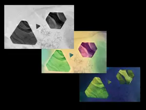 Coloured Electron Microscopy Micrographs Technique